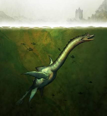 Adicional no seguro contra ataques do Nessie