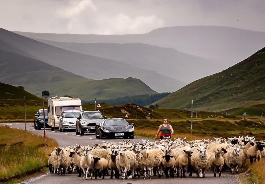 Tiago motorista das Highlands (~1 diária)